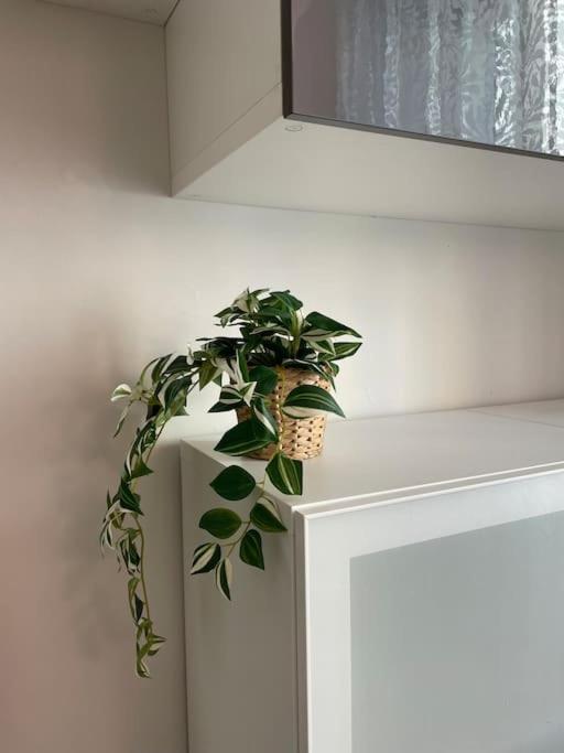 Casa Del Riccio, Palio Siena Apartment Екстериор снимка